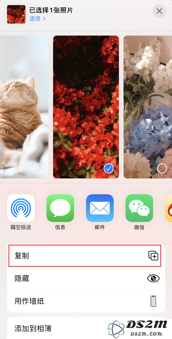 如何在编辑iPhone 12照片的同时保留原图不变，轻松实现多样化效果