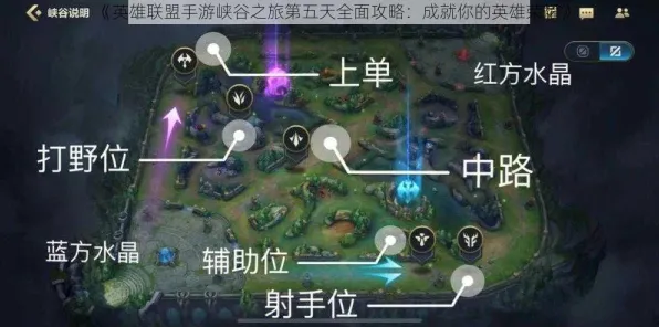 ｜震撼｜教学 实测｜v0425｜英雄联盟手游打野新野区路线全解析，版本秘籍竟然是这个！打野小伙伴必看上分攻略！