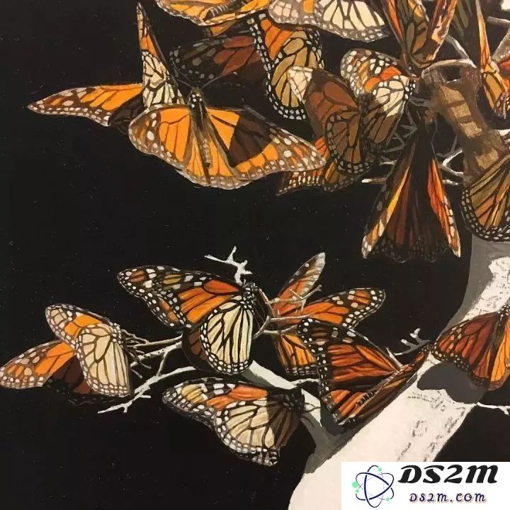 原神中的十幅精美插画和它们背后的故事