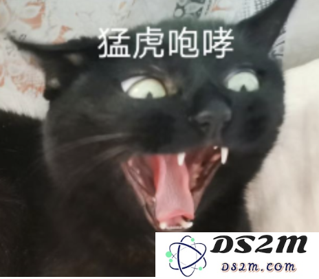全球最大开源视频模型，现在也Created in China了，阶跃出品