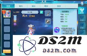 在梦幻飞仙中如何有效提升战斗力与角色实力的全面指南