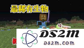 在末日环境中牛马回收者应如何有效管理背包物品以提高生存能力