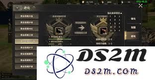 奇迹世界起源：详细解析如何激活2阶黄金装备及其养成攻略