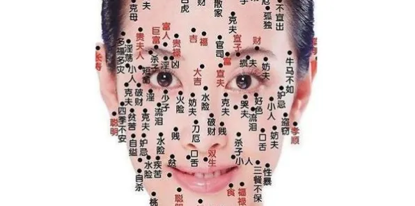 《阴阳师》剧情分支解析-2025春季最新优化-跨平台联机-动作冒险-全攻略