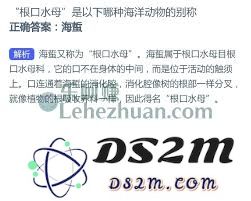 为了有效应对地铁早晚高峰的需求，哪些职业应运而生？