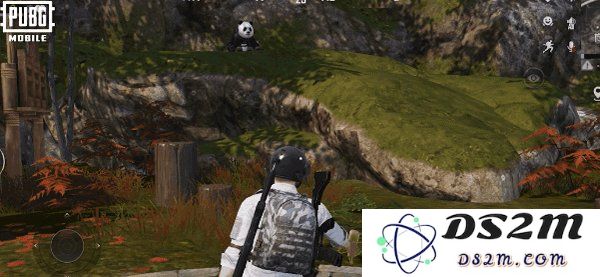 pubg四象修行玩法