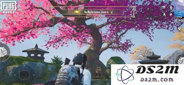 pubg四象修行玩法