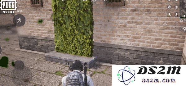 pubg四象修行玩法