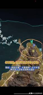 七日世界雪国建家最佳位置选择攻略与技巧总结