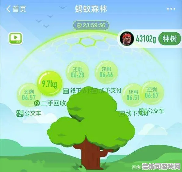 实测｜教学 蚂蚁森林能量保护攻略 实测｜v0425｜教你如何从新手成长为高手的防偷技巧大全！