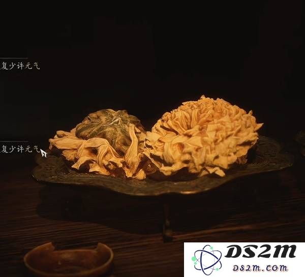 《黑神话悟空》新泡酒物九秋菊效果一览 九秋菊怎么获得：奇幻之旅带你解析！