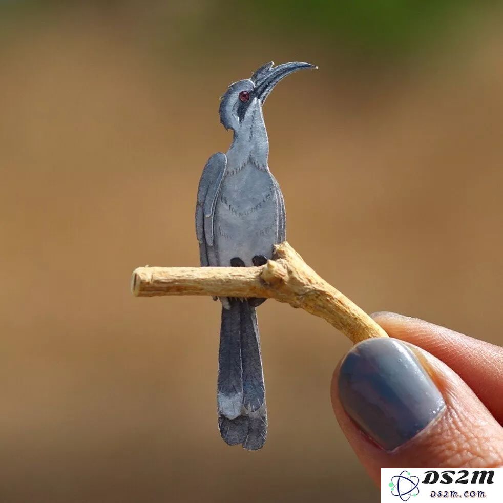 原神中蓝色鸟的用途与特性是什么？探索蓝色鸟在游戏中的重要性与详细信息