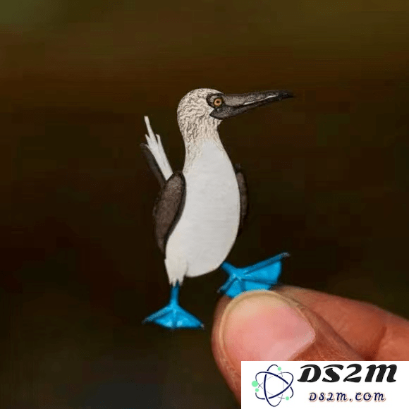 原神蓝色的鸟是什么