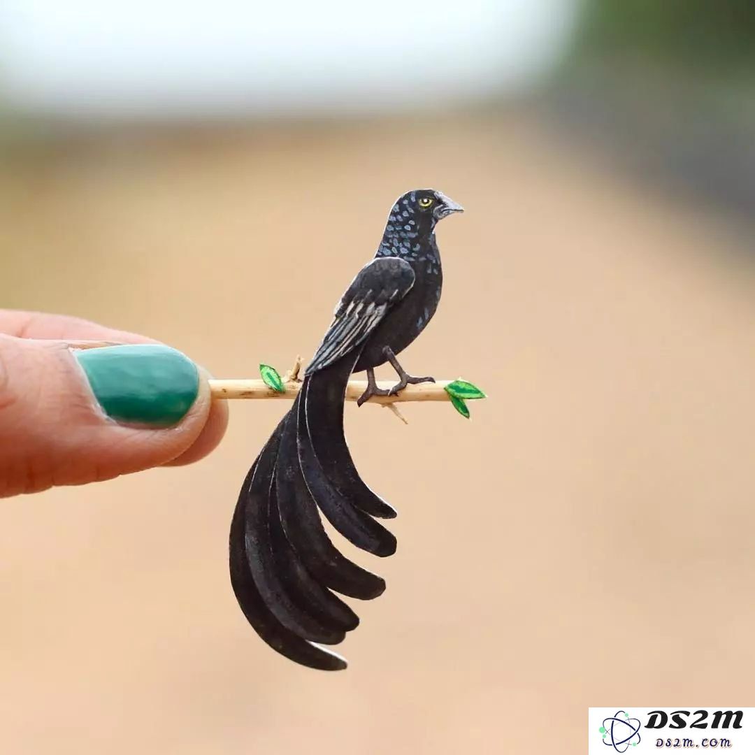 原神蓝色的鸟是什么