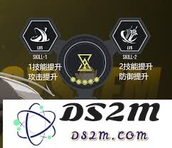 如何高效利用伊瑟拉的体力资源，提升其在各项活动中的表现