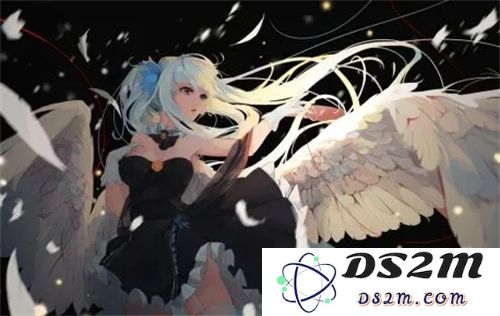 美国高清windows视频亮点：流畅体验背后的技术魅力与未来发展！