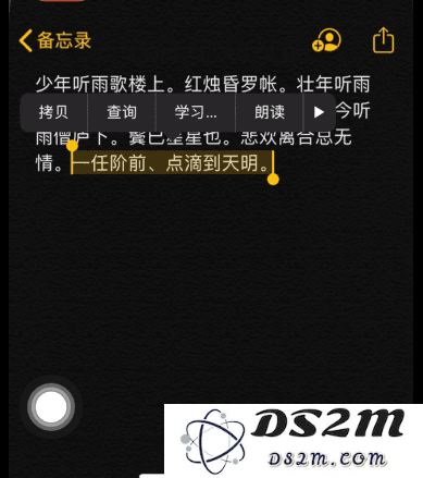 苹果iPhone手机文本编辑的实用小贴士与技巧分享