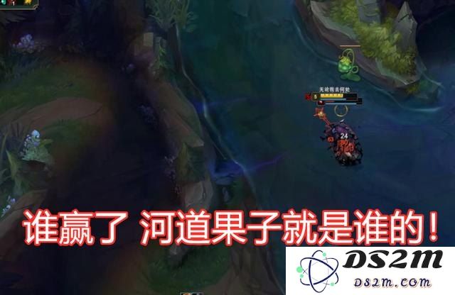 英雄联盟游戏中河道之灵的独特魅力与战略价值分析