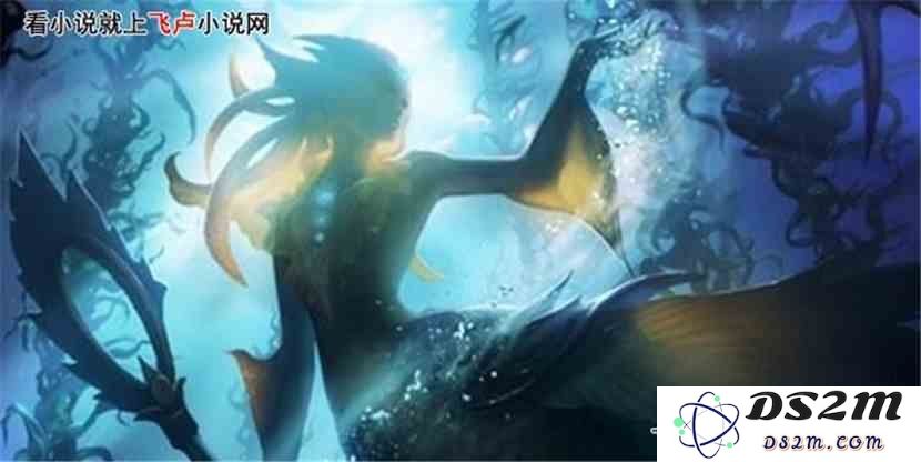 英雄联盟中的娜美角色究竟是鲨鱼吗？分析其真实身份和背景
