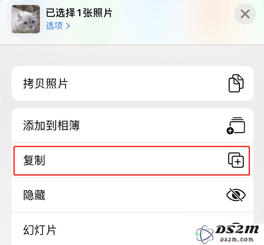 iPhone 11 照片编辑小技巧：巧用“复制”功能保留原片