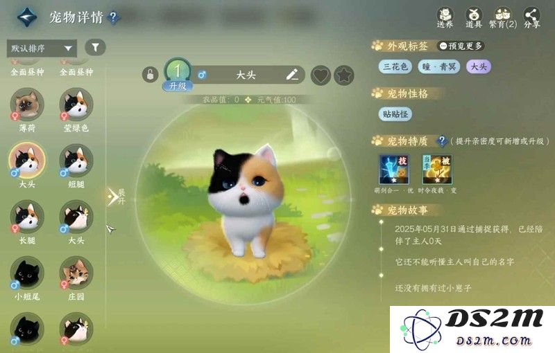 逆水寒手游育宠保姆级教程 逆水寒怎么捕捉宠物：手把手带你走进萌宠的奇妙世界！