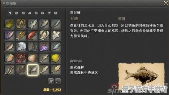 《最终幻想14》钓鱼位置指南-本周技术更新-Steam Deck新功能-跨平台游戏体验