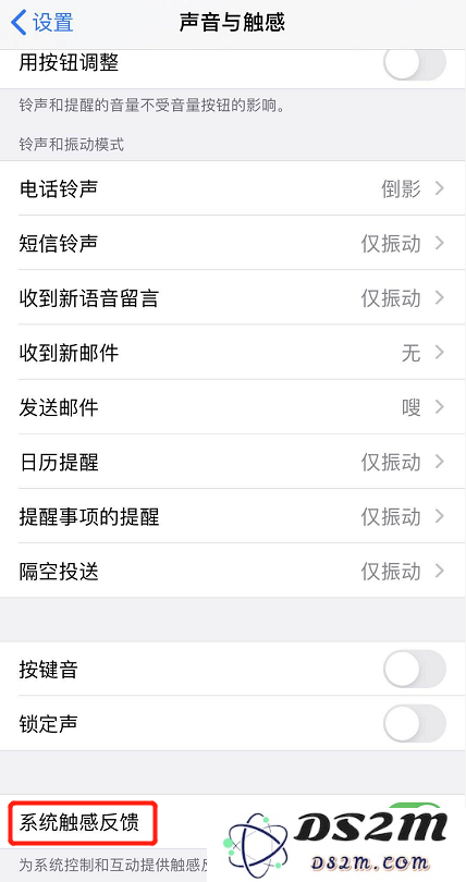 如何在 iPhone 11 中自定义触感反馈的设置选项以增强用户体验？