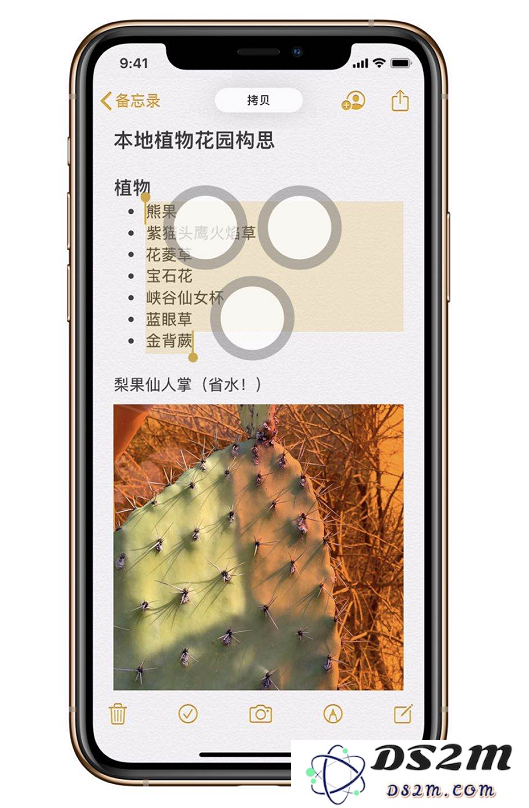 如何使用 iOS 13 的三指快速操作功能，提升你的手机使用效率？