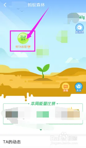 全面解析｜蚂蚁森林道具兑换小技巧与2025年4月数据分析，包含高效兑换公式与避坑策略，数据党必读指南