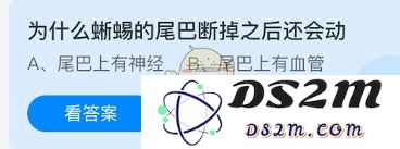 蜥蜴断掉尾巴后仍然能够扭动的原因是什么？探索蜥蜴生理机制的奥秘