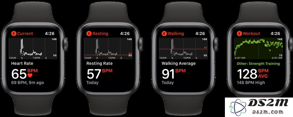 Apple Watch 使用指南：如何轻松查看和分析您的心率历史记录？