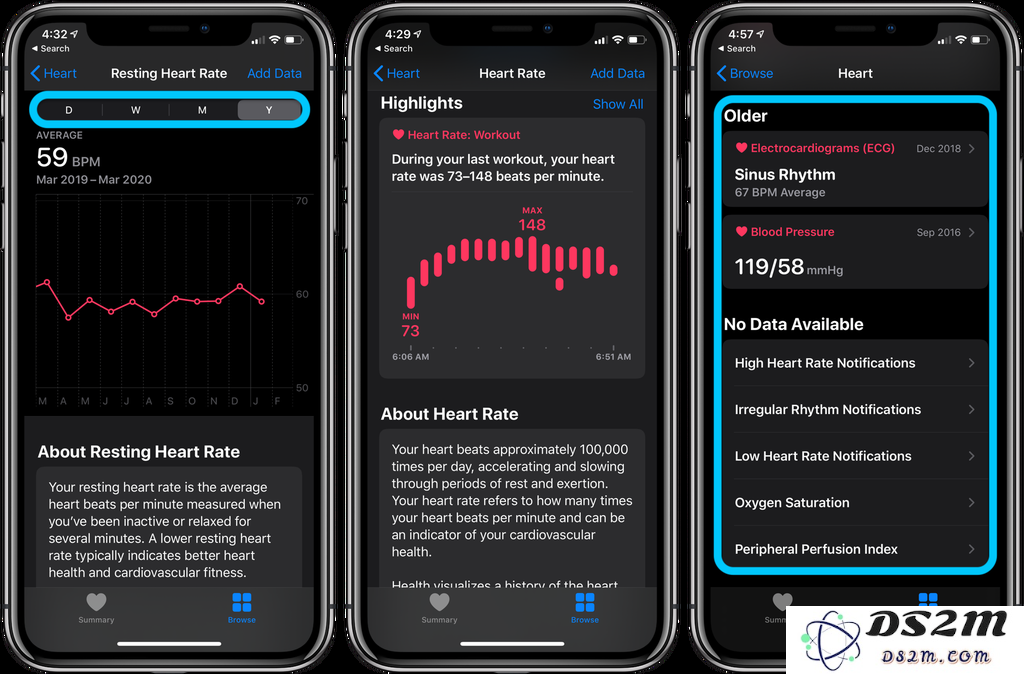 Apple Watch 教程：如何查看心率记录？
