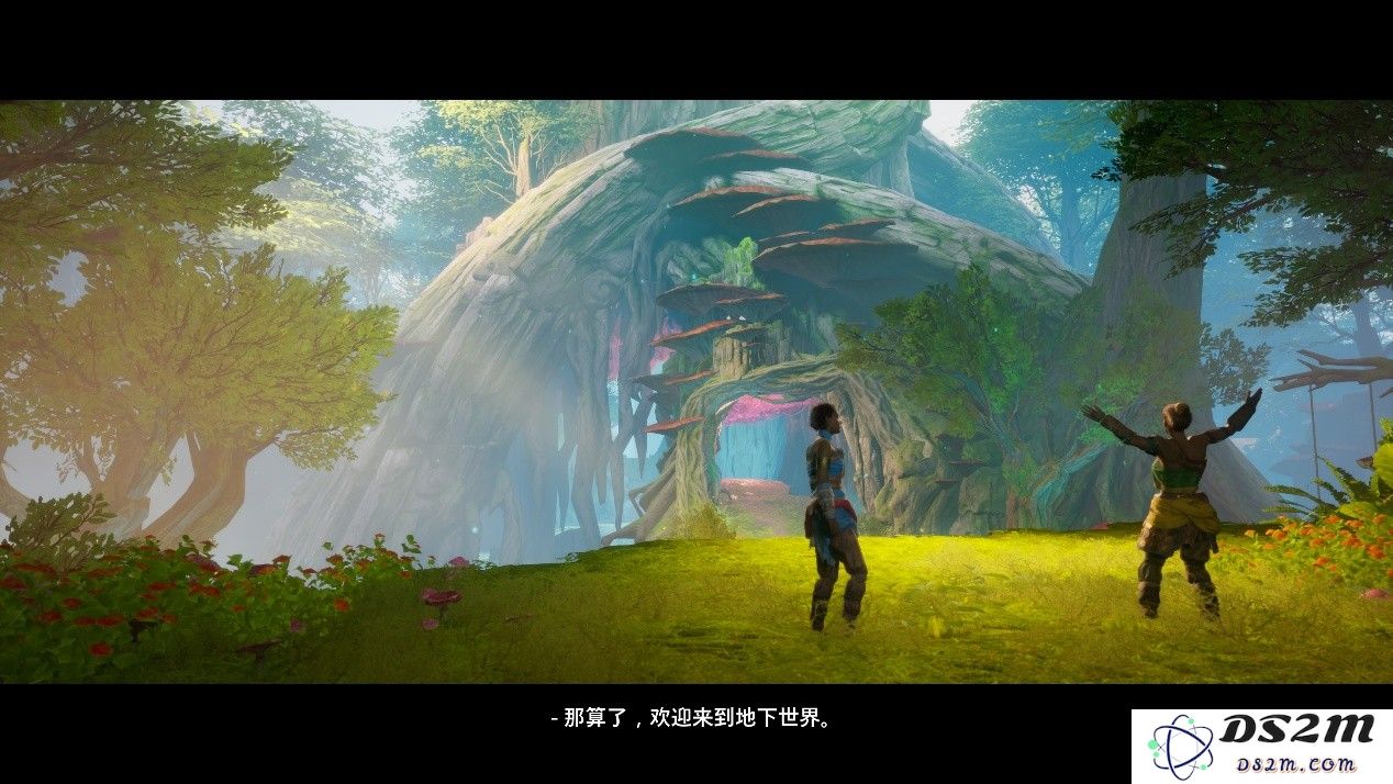 高处不胜寒——《双影奇境》的辉煌与不足之处探讨