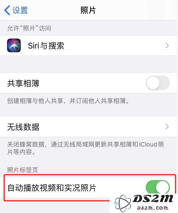 在 iPhone 11 的“照片”应用中探索三个实用技巧以提升你的摄影体验