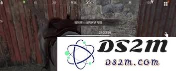 如何在失控进化的情况下寻找适合的马匹并掌握其训练技巧