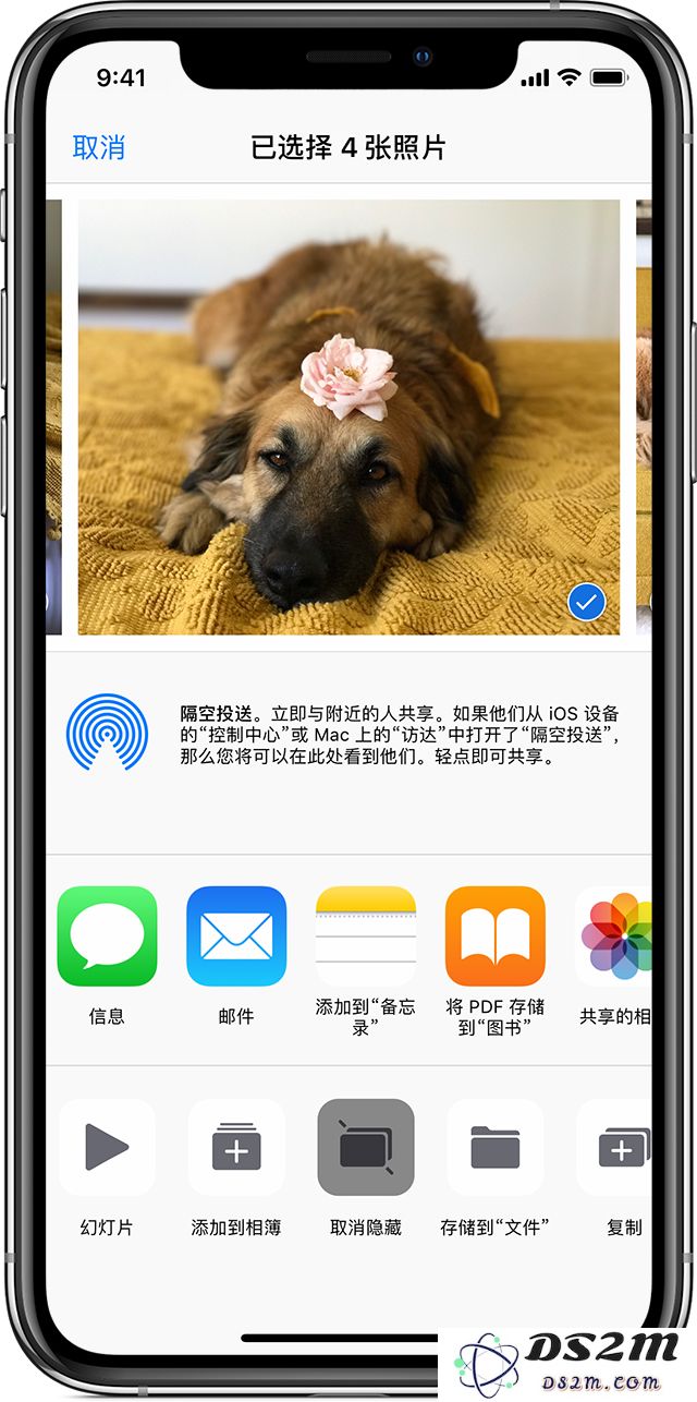 如何找回 iPhone 相册中丢失的照片？