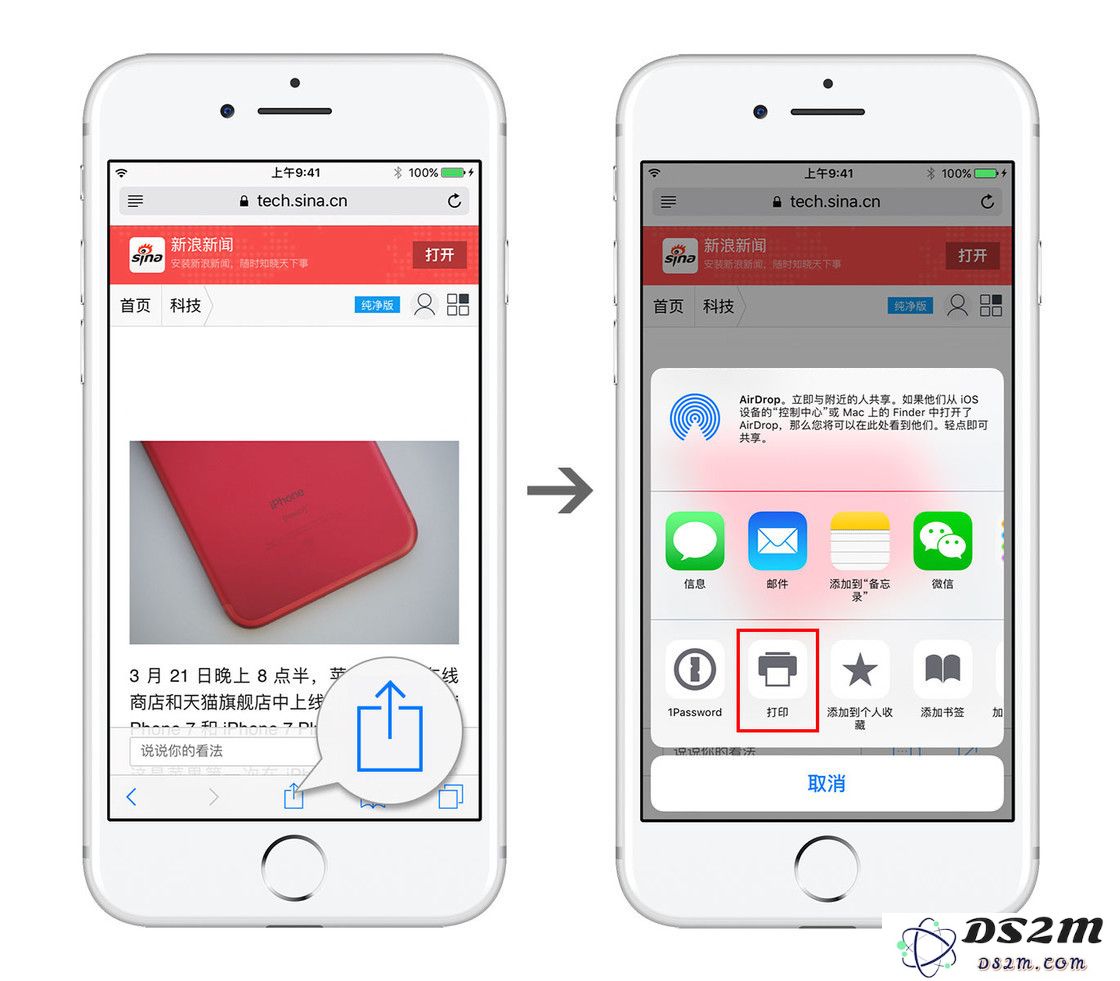 不借助任何第三方工具，探索两种方式将 Safari 浏览器中的网页快速保存为 PDF 文件