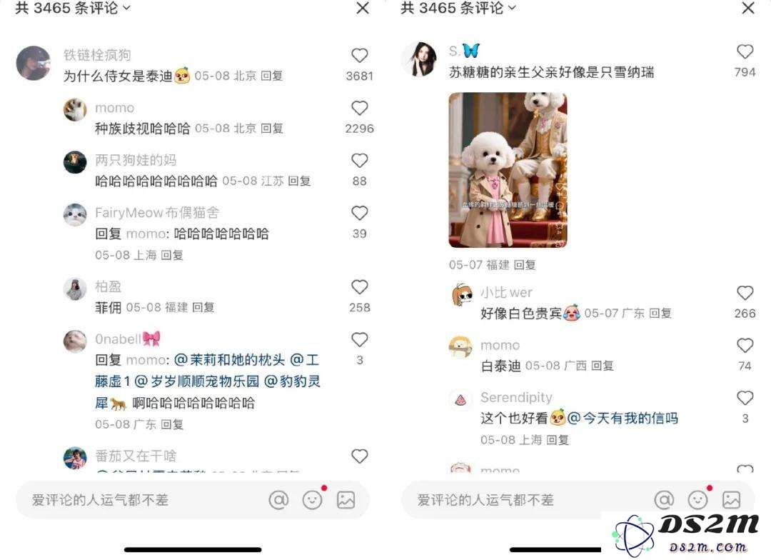 风靡全网的AI宠物账号，幕后推手们到底赚不赚钱？