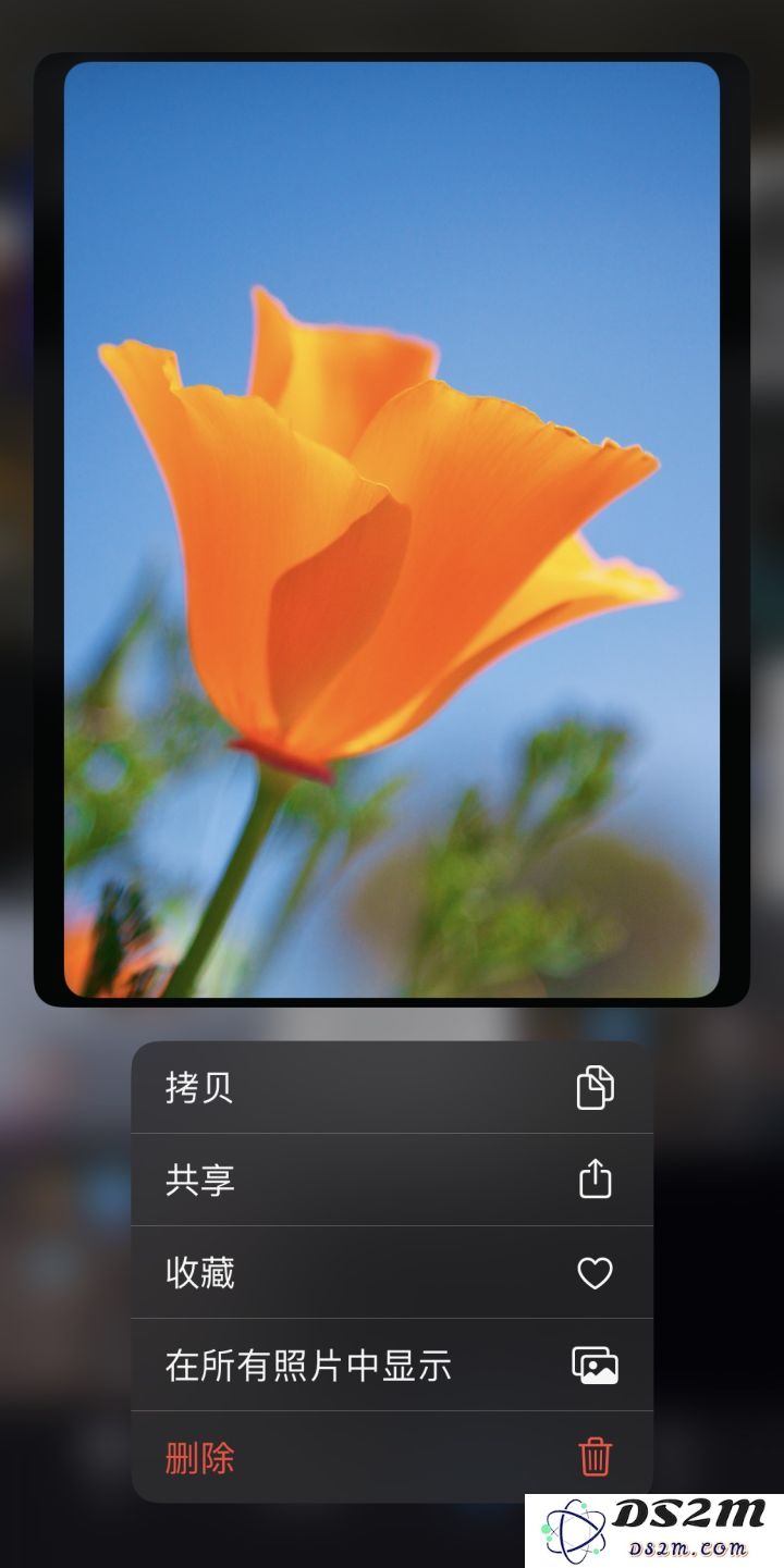 支持 3D Touch 的 iPhone 在 iOS 13 下表现如何？