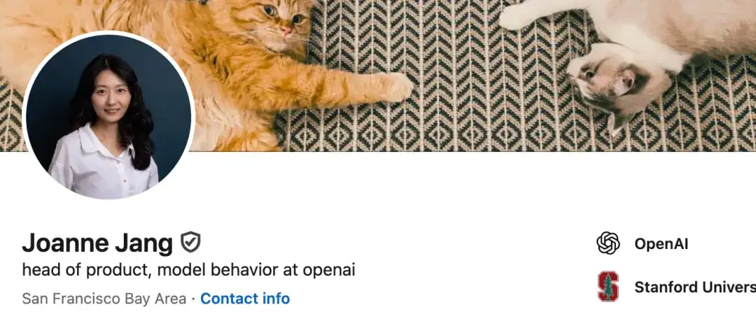 OpenAI 高管深入探讨 ChatGPT 意识的形成过程：当 AI 越发类人，设计者们不得不直面其影响和责任