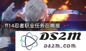 如何完成最终幻想14水晶世界中的忍者职业任务详细攻略与技巧分享