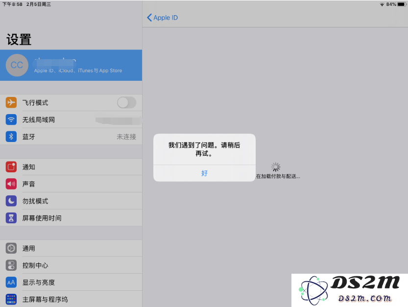 在使用iPad进行支付时，出现付款和配送信息加载缓慢的情况该如何解决？