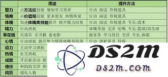 如何在学生时代的每一个阶段中超越竞争对手，实现全面的学业和能力提升