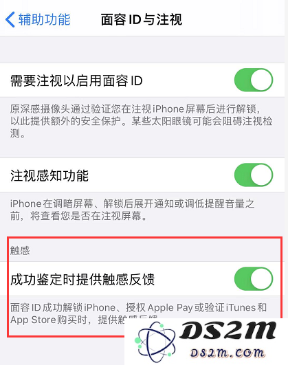 使用 iPhone 11 时不可忽视的重要设置和功能指南