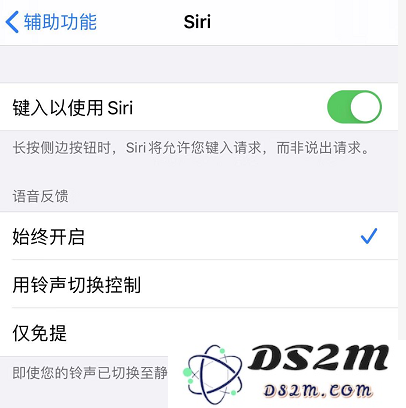 你的鼠年关键字是什么？让 Siri 告诉你