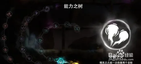奥日与黑暗森林 深度解析：奥日与黑暗森林 团队配合策略 奥日与黑暗森林 团队配合策略与团队配合
