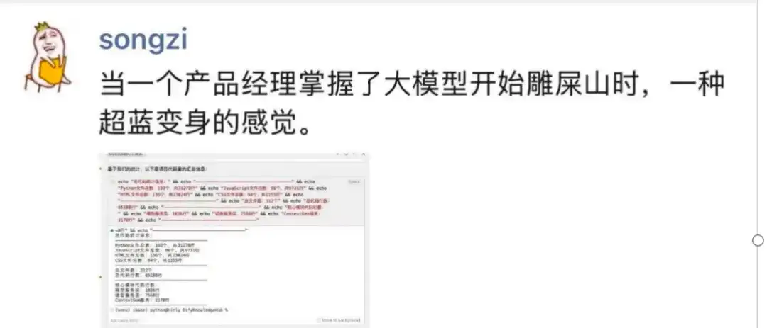 运用大模型打造“屎山雕花”：5天狂写数万行代码的产品经理AI编程失误故事