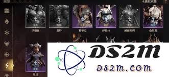 如何将龙息神寂伊奥拉与其他强力角色搭配以打造最强阵容