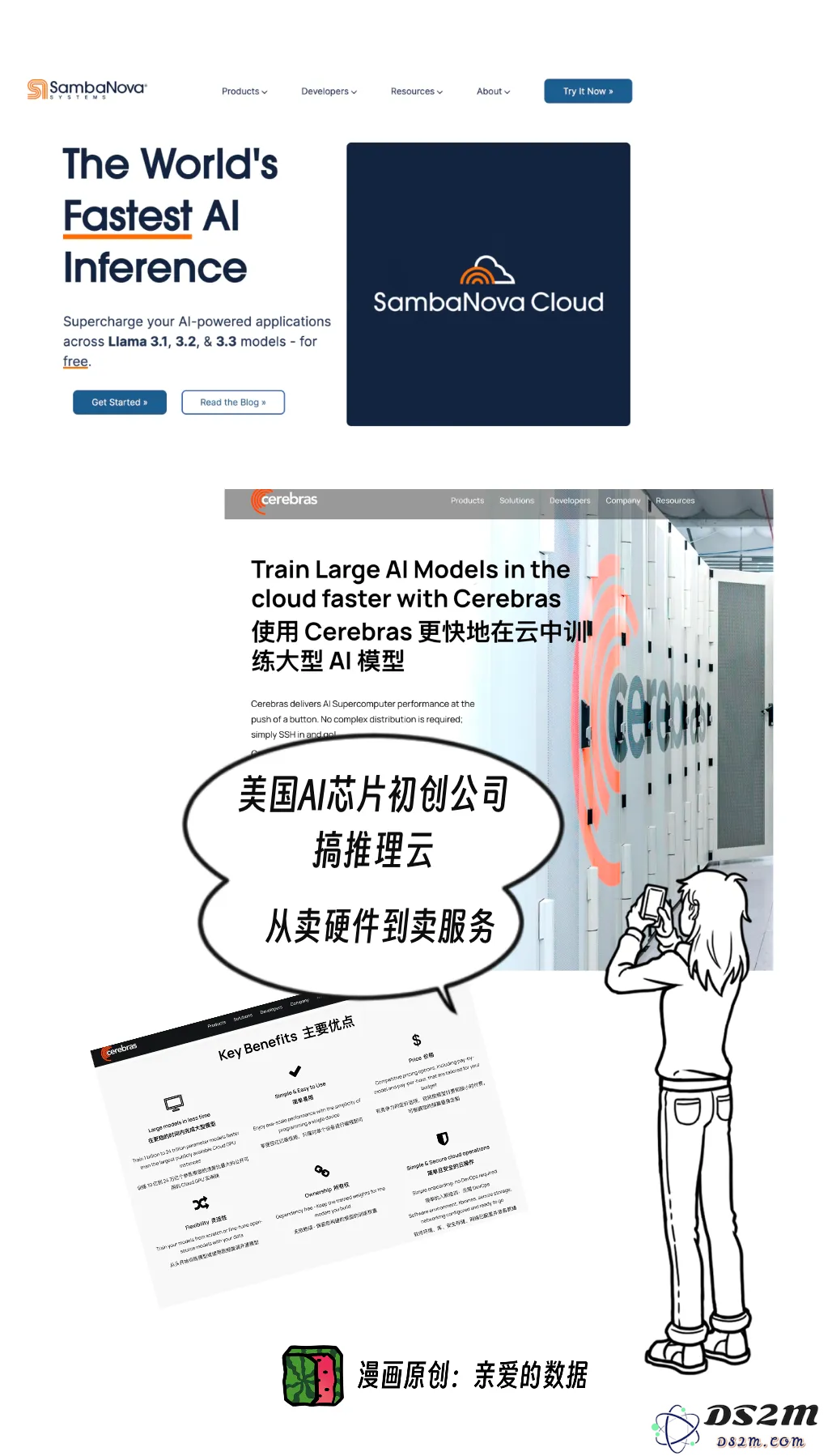 AI大模型垂直整合：我有一条龙服务，我就是那条龙
