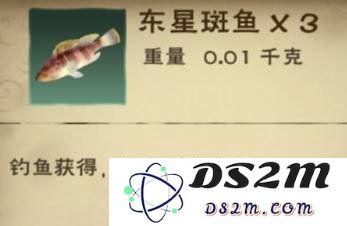 创造与魔法的东星斑鱼有什么用 东星斑鱼作用：带你走进奇妙的魔法世界！畅游快乐无止境